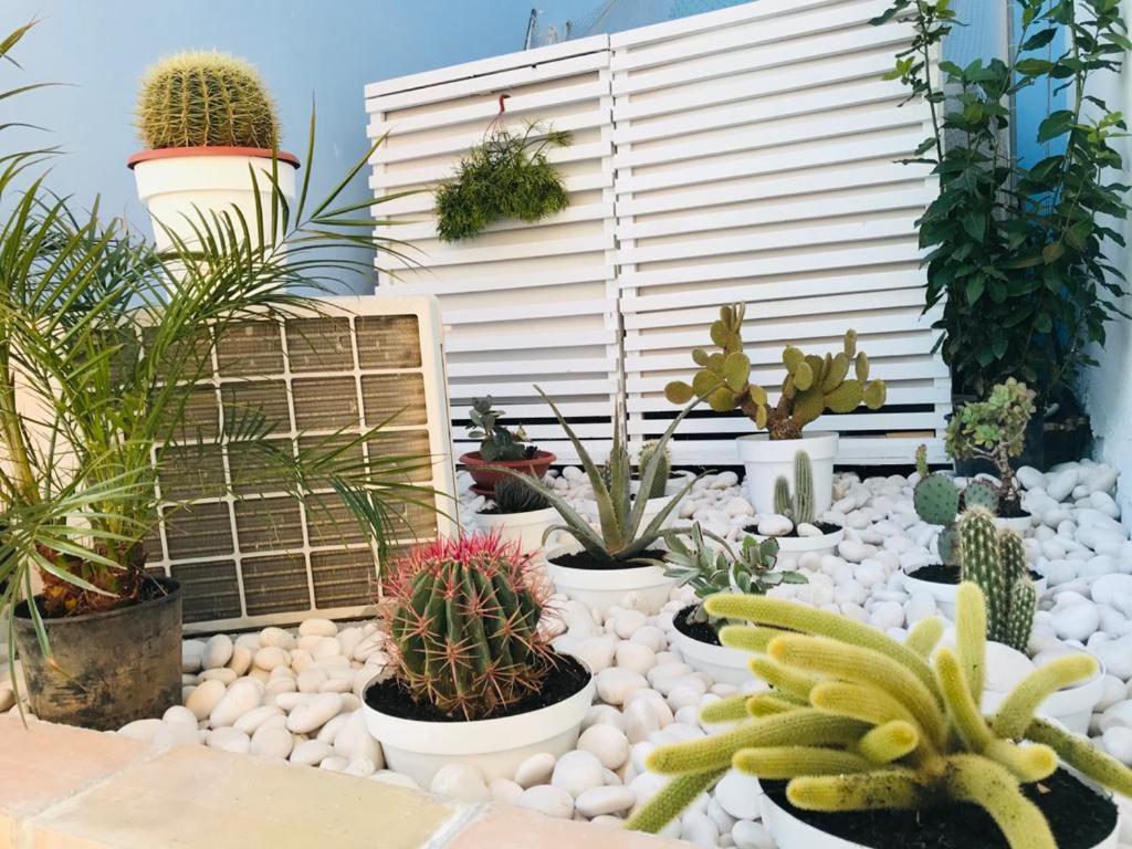 La Casa Del Pescatore Sciacca Ngoại thất bức ảnh